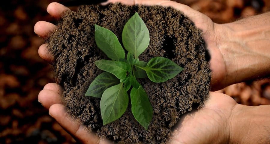 sustainability