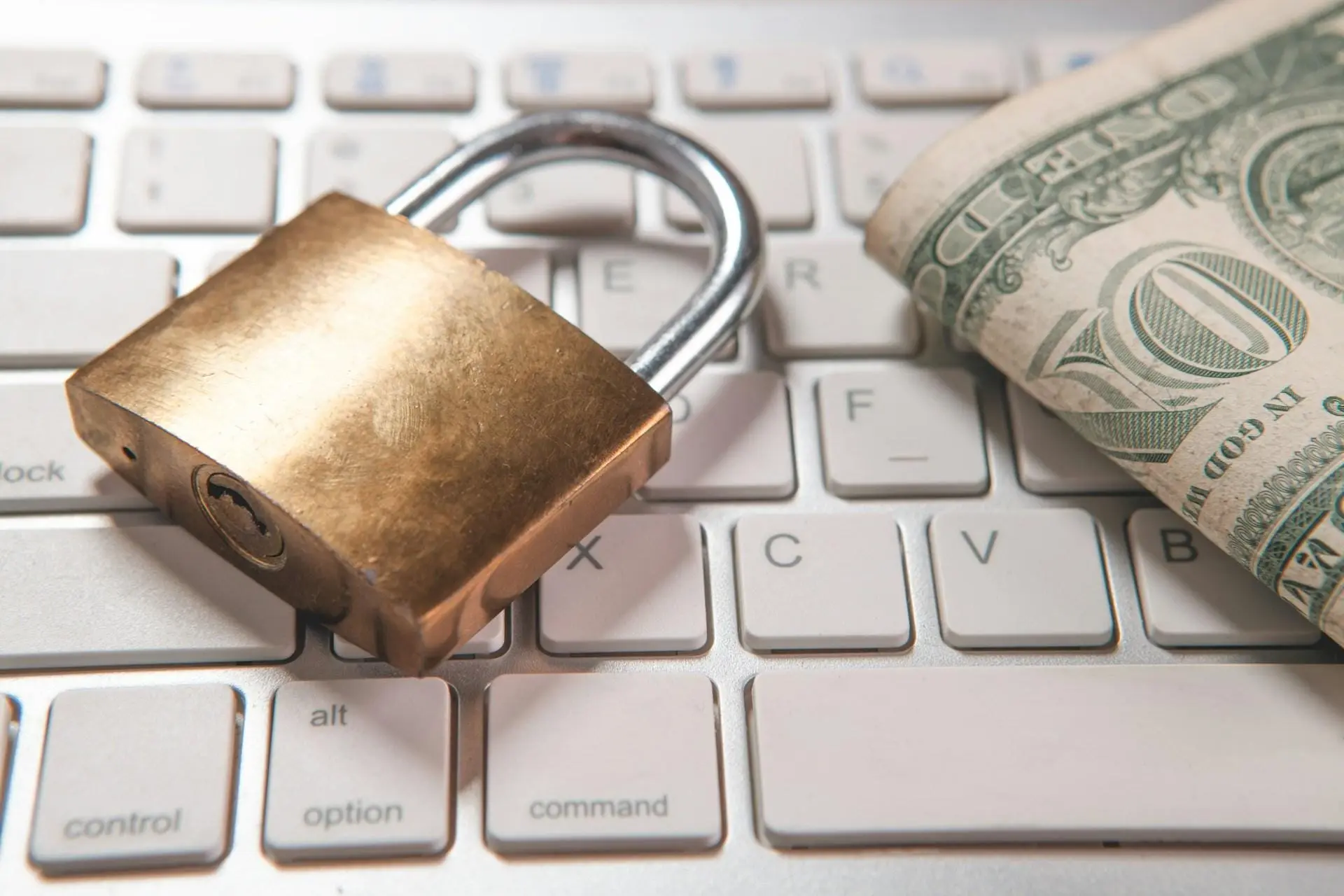 Candidate fraud has four costs. Most companies only measure one. - Procom